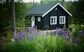 Froeya Timber Cottage