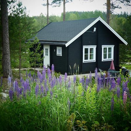 Froeya Timber Cottage Arvika Eksteriør billede